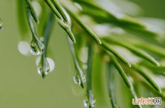 受台风“玛娃”外围环流影响 上海31日起三天多阵雨