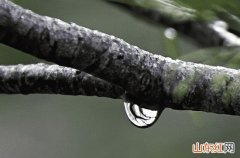 陕西各地雨水31日起再度拉开帷幕 陕南局地将遭遇暴雨或大暴雨