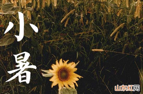 2023年小暑祝福语带图50句