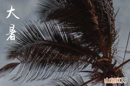 2023年大暑祝福语送家人58句