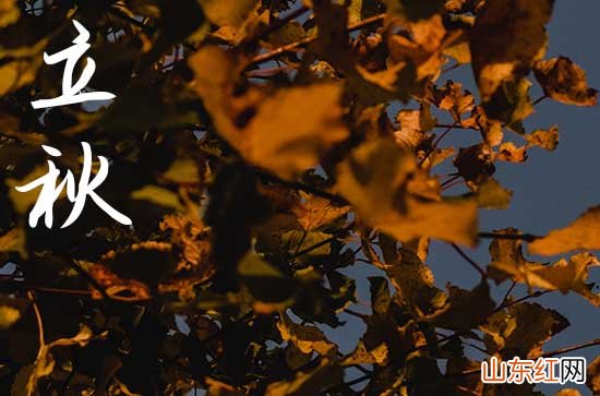 关于立秋祝福语简短 2023适合立秋发的祝福语