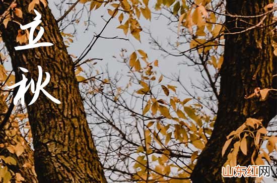 祝福语句子:2023立秋节气的唯美句子短句