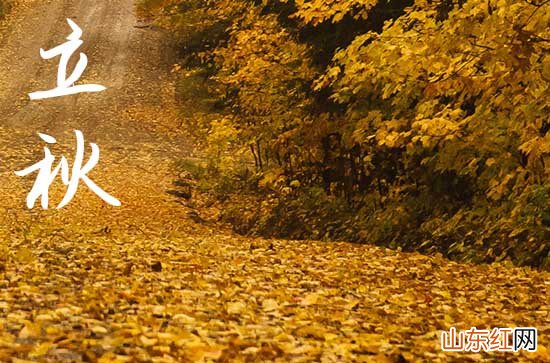 祝福语句子:2023立秋时节给家人的祝福语