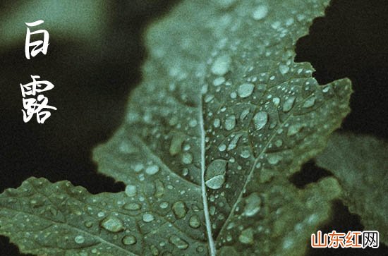 2023白露节气说说祝福语大全50句