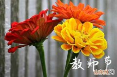 2023教师节经典祝福语38句