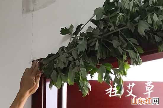 2023年端午节搞笑整人祝愿语