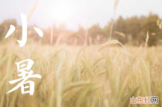 2023小暑是入伏的头一天吗 小暑是三伏天开始吗