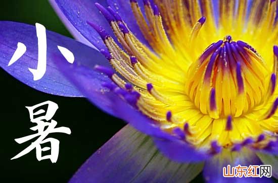 2023小暑是几月几日 2023年的小暑是什么时候