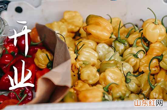 2023开业祝福语大全