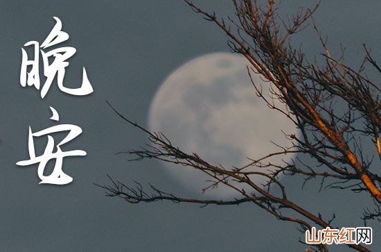 晚安心语2023:适合发朋友圈的正能量说说