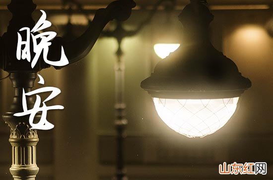 晚安心语2023睡前一句话 发朋友圈的精美句子