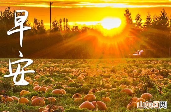 早安祝福心语2023