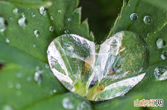 2023年“入伏”时间表