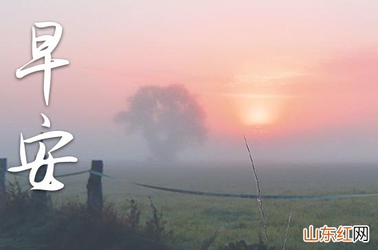 2023早安心语：你不用多好，我喜欢就好有哪些？