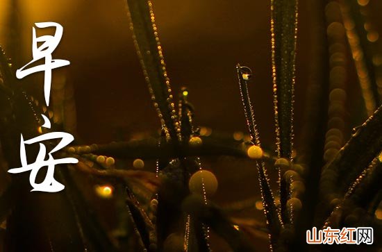 早安问候祝福语句2023