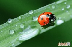 浙江23日雨水减少升温乏力 杭州最低温仅15℃左右