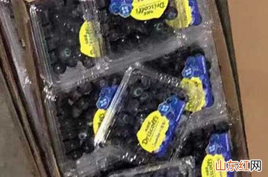 蓝莓榨汁营养会流失吗 蓝莓榨汁搭配