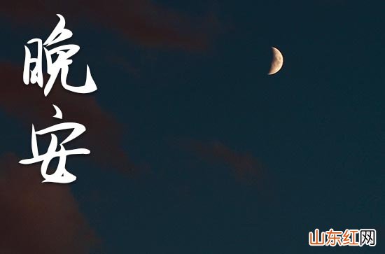 抖音热门晚安短句子