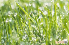 四川未来三天阴雨“控场” 18日西南部等地局部或现大雨