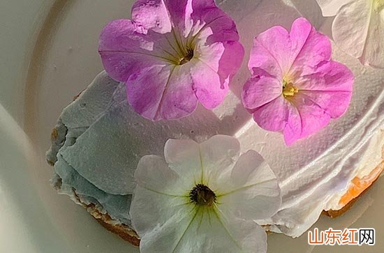 生日祝福语适合发朋友圈唯美2023 生日暖心的祝福说说2023