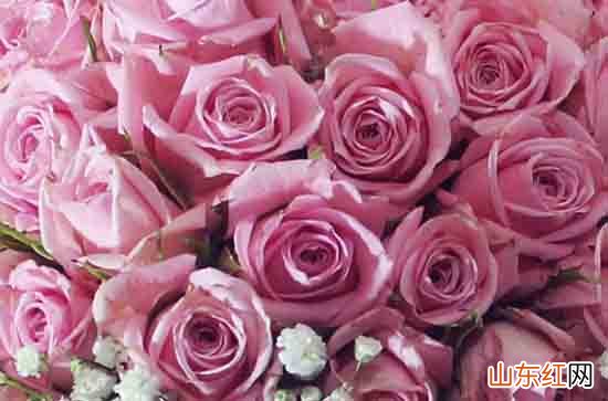 关于夏天爱情的文艺句子