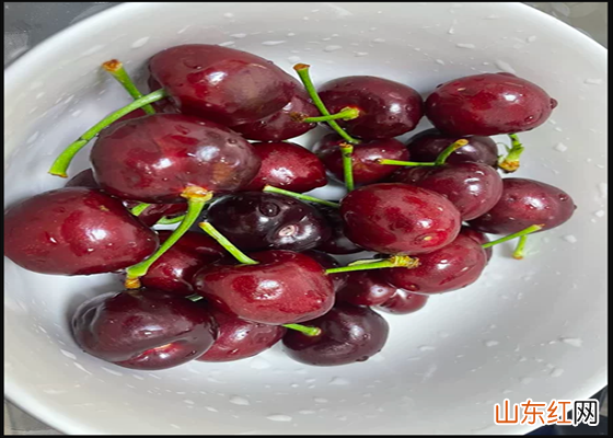 吃山东樱桃的季节是什么时候