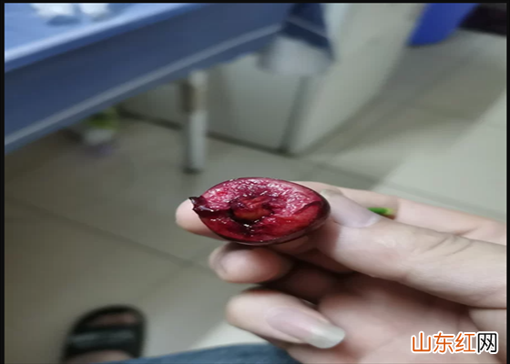 吃车厘子和樱桃的季节是什么时候