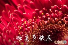 母亲节快乐朋友圈祝福语 母亲节快乐朋友圈经典语录