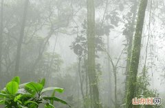 天津12日午后到傍晚将有分散性雷阵雨 周末最高气温将突破30℃