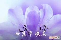 115句 母亲节送郁金香祝福语