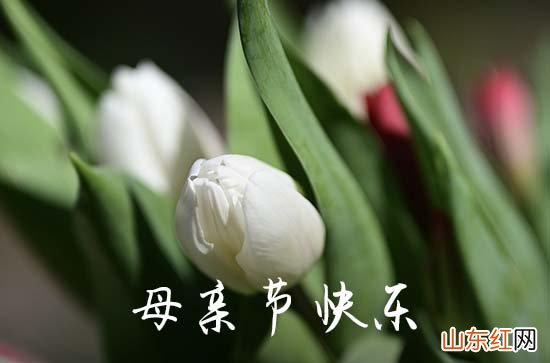 110句 母亲节送玫瑰花文案祝福语