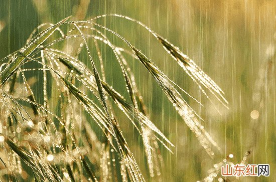11日白天湖南永州郴州等地仍有降雨 今夜起全省大部降雨停歇