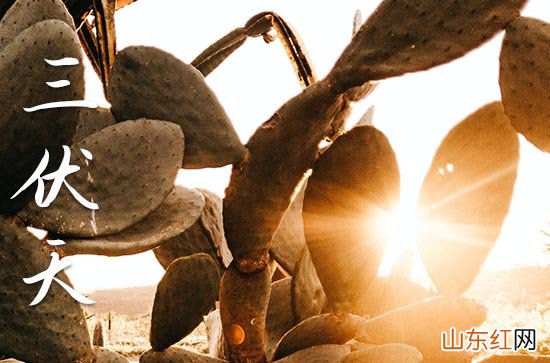 2023年三伏天一般在几月