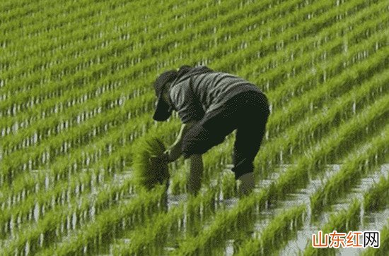 2023年湖南6月份天气适合旅游吗 湖南6月份天气适合穿什么衣服