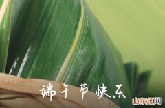 2023端午节传统祝福语大全 粽子飘香庆端午