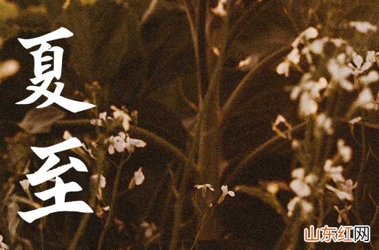二十四节气2023夏至节气简短祝福寄语