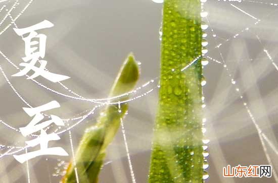 夏至祝福短信2023