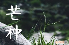 2023年芒种是几月几日几点 2023年芒种是哪一天