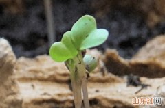 阴雨上线浙江10号起天气转阴 部分地区有阵雨叨扰