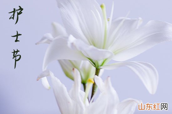 2023护士节祝福语短信大全