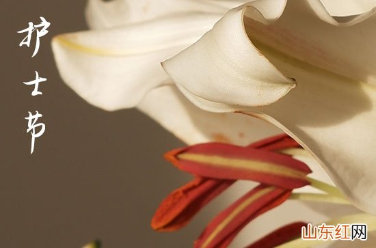 祝福语:2023适合护士节发朋友圈句子