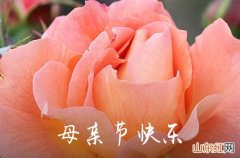 2023母亲节简短8字祝福语