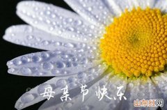 2023母亲节送花祝福语