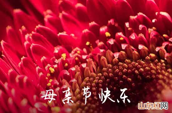 2023母亲节经典祝愿语锦集