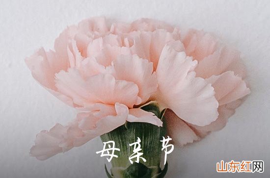 祝福短语:2023母亲节发朋友圈文案句子