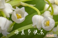 2023母亲节温馨祝福