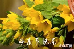 2023母亲节送花贺卡祝福语