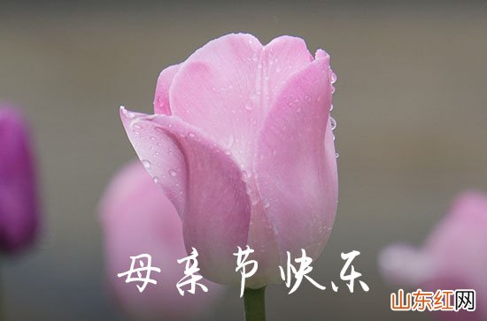 2023年精选母亲节祝福问候语合集30条