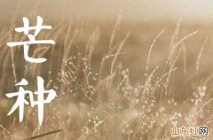 2023年芒种节气又被叫做“开犁节” 2023年芒种的具体时间