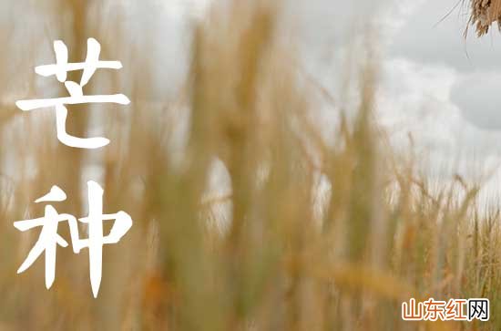 2023年芒种可以搬家吗 2023年芒种芒种搬家好收成